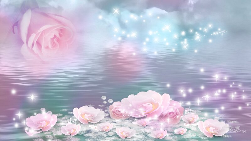 Pink Roses on Water
