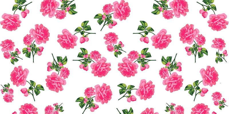 Pink Roses on White — Calm, Vector Art