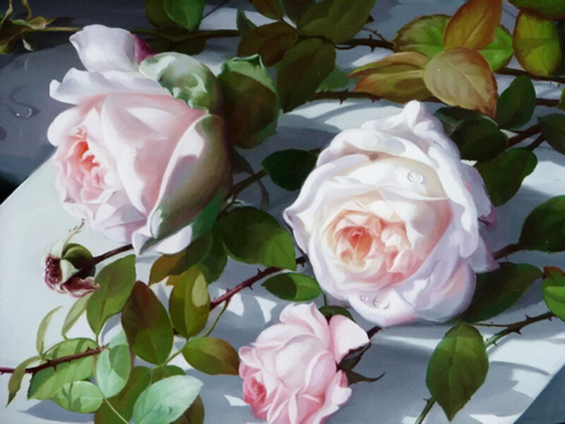 Pink Roses on White Surface — Serene