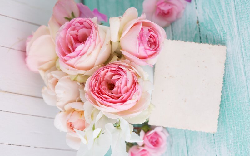 Pink Roses on Wood — Calm, Photograph, Flowers