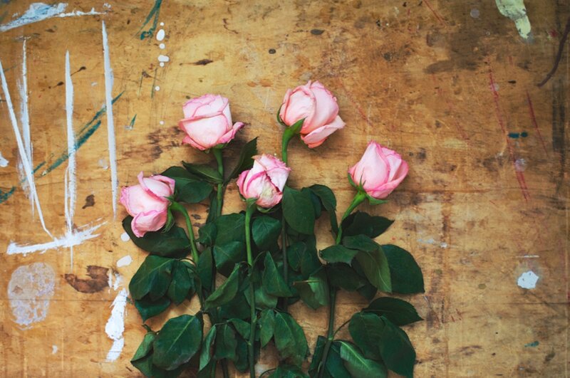 Pink Roses on Wood — Calm, Photograph, Wooden Surface