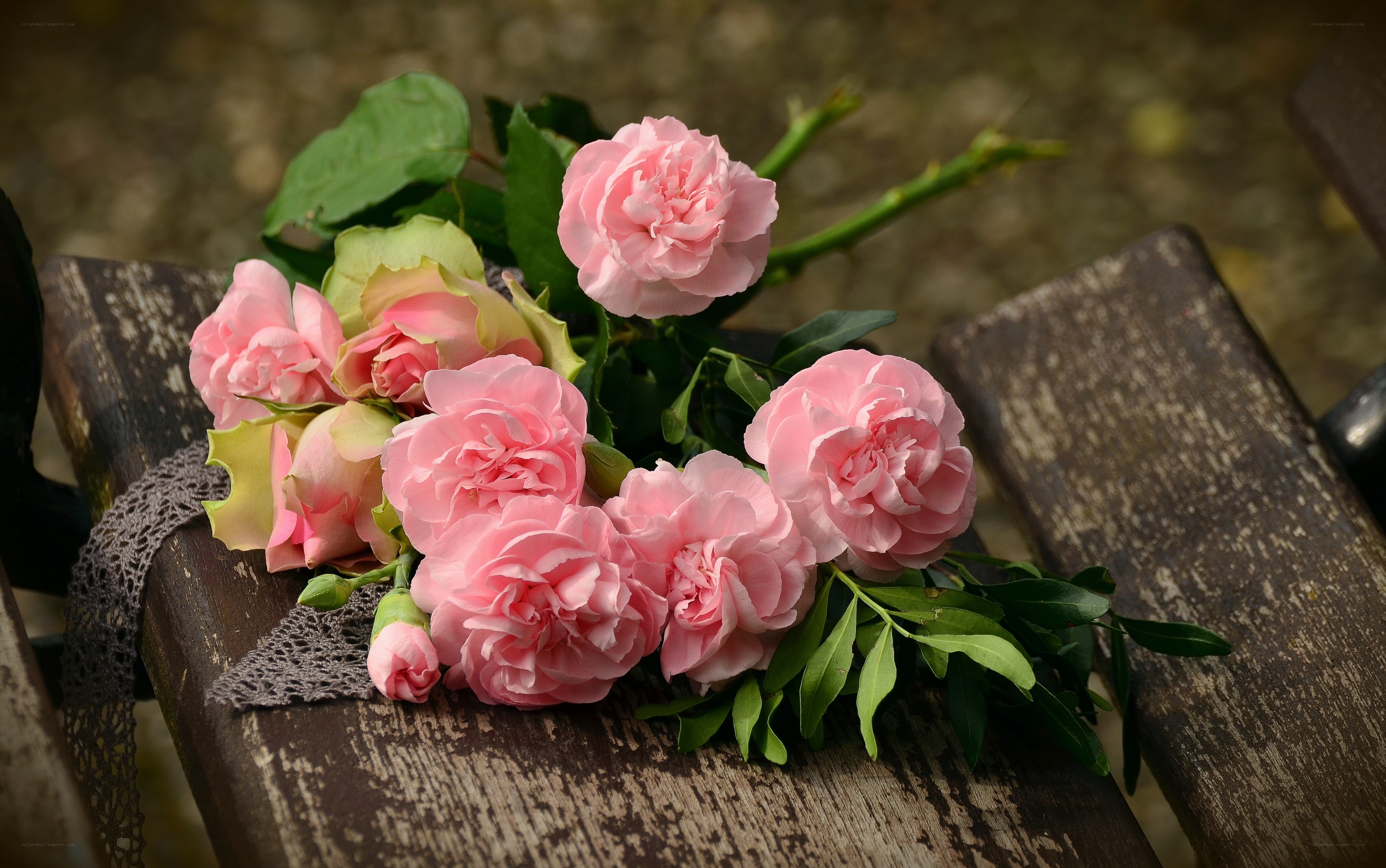 Pink roses on wooden bench
