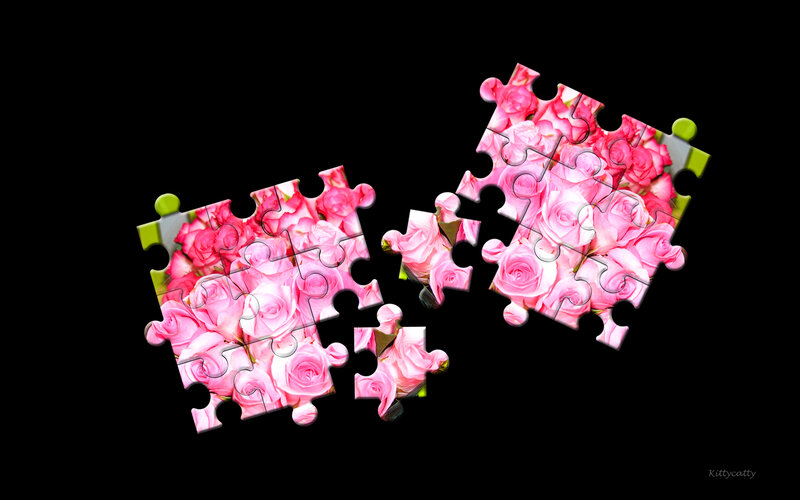 Pink Roses Puzzle