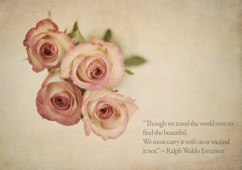 Pink Roses