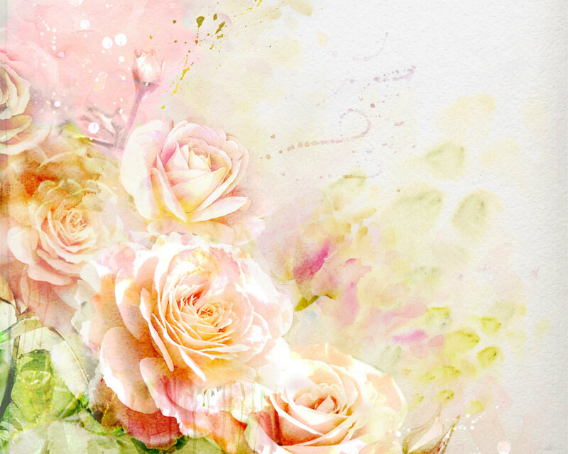 Pink Roses Watercolor