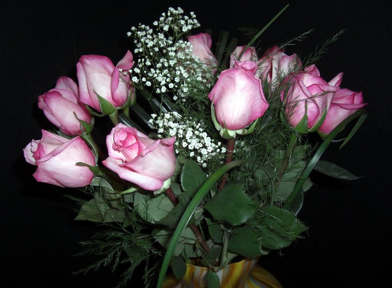 Pink roses with baby's breath