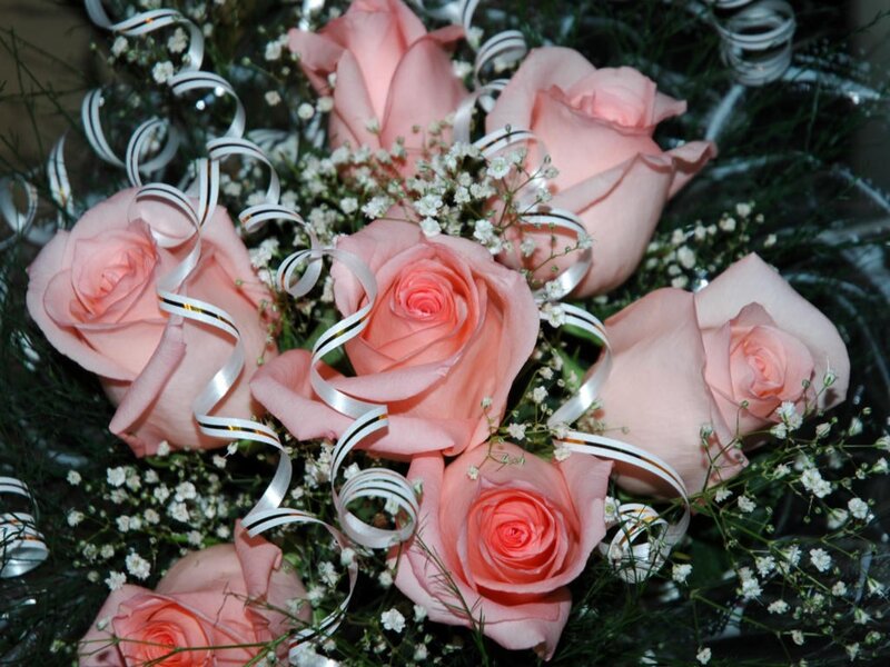 Pink roses with baby's breath