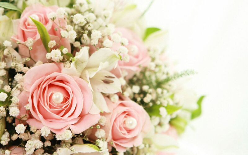 Pink Roses with Baby's Breath — Soft, Photograph
