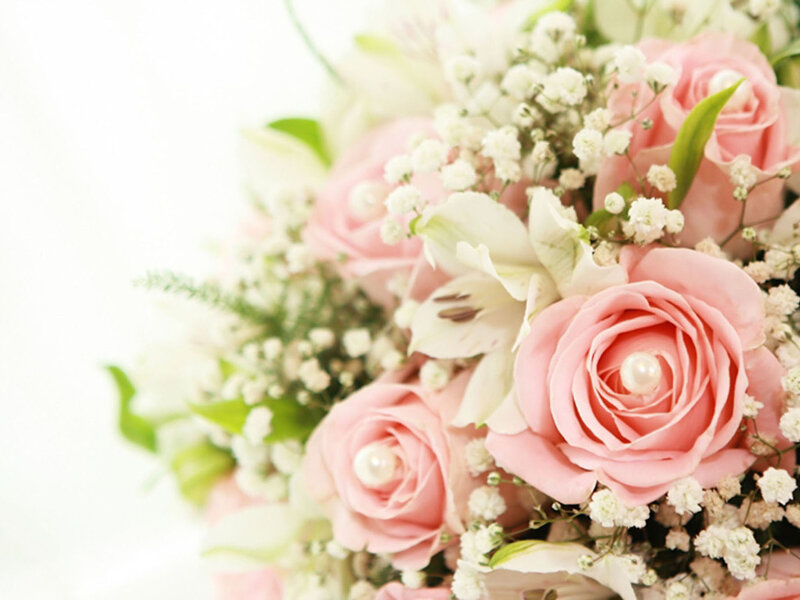 Pink Roses with Baby's Breath — Soft