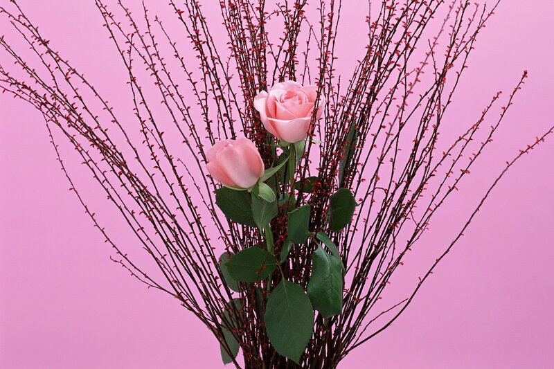 Pink roses with branches