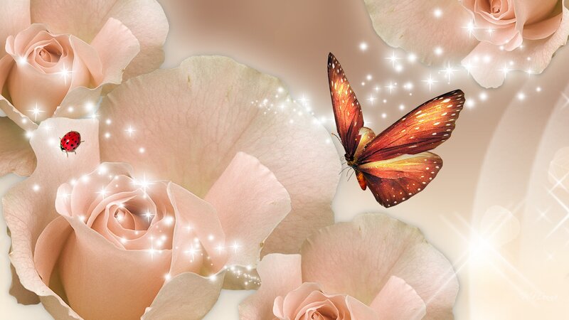 Pink Roses with Butterfly