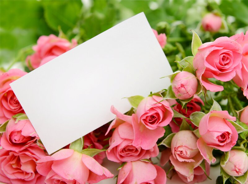 Pink Roses with Card — Calm