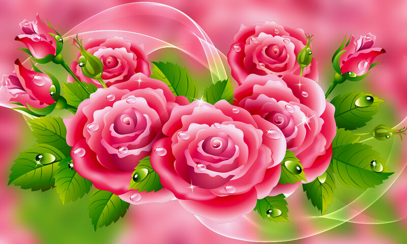 Pink Roses with Dewdrops — Romantic