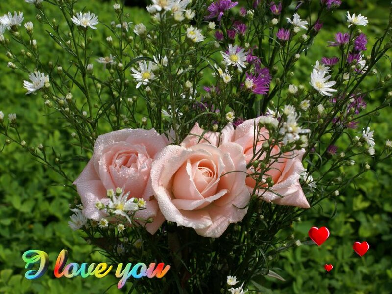 Pink Roses with Filler Flowers