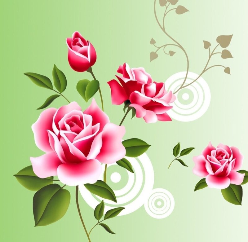 Pink Roses with Green Leaves — Calm, Illustration