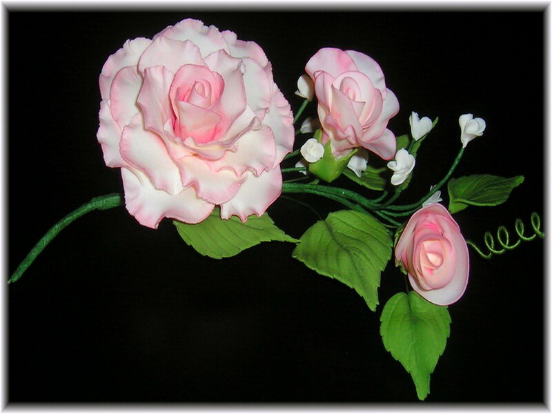 Pink Roses with Green Leaves — Serene, Photograph, Buds