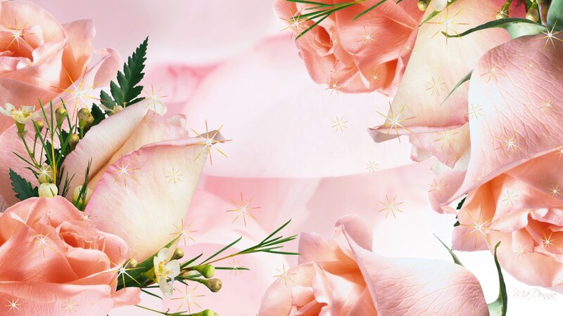 Pink Roses with Greenery