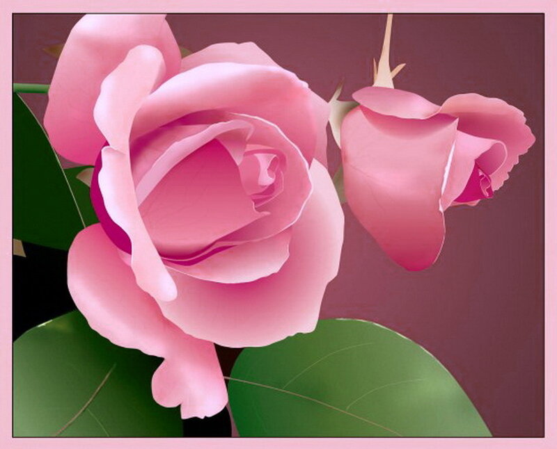 Pink Roses with Leaves — Calm