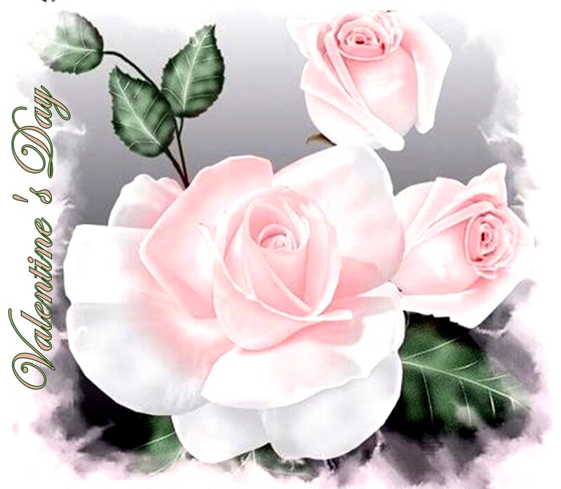 Pink Roses with Leaves — Romantic, Illustration