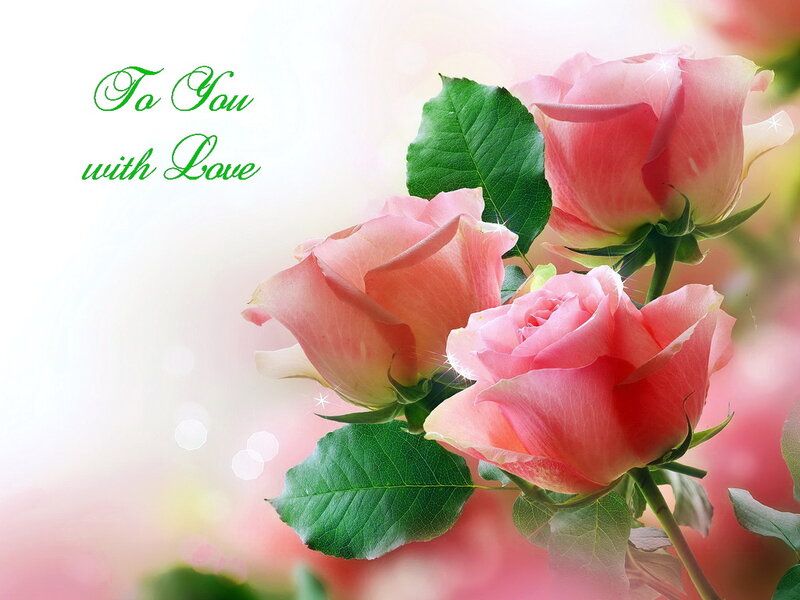 Pink Roses with Leaves — Romantic, Photograph, Green Leaves