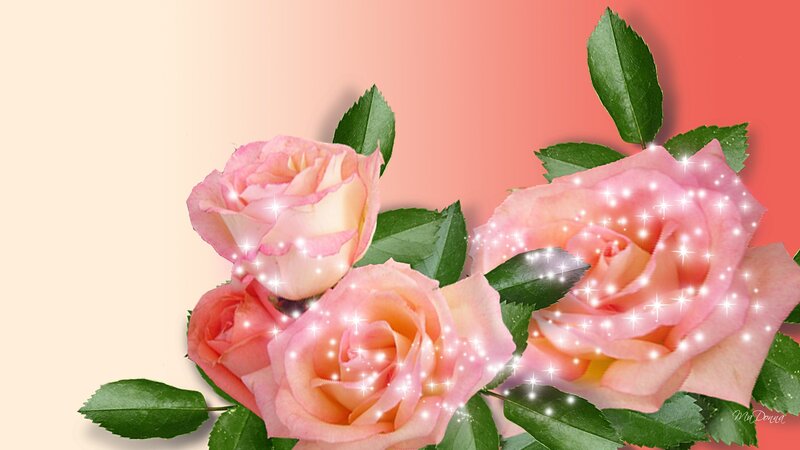 Pink Roses with Leaves — Romantic