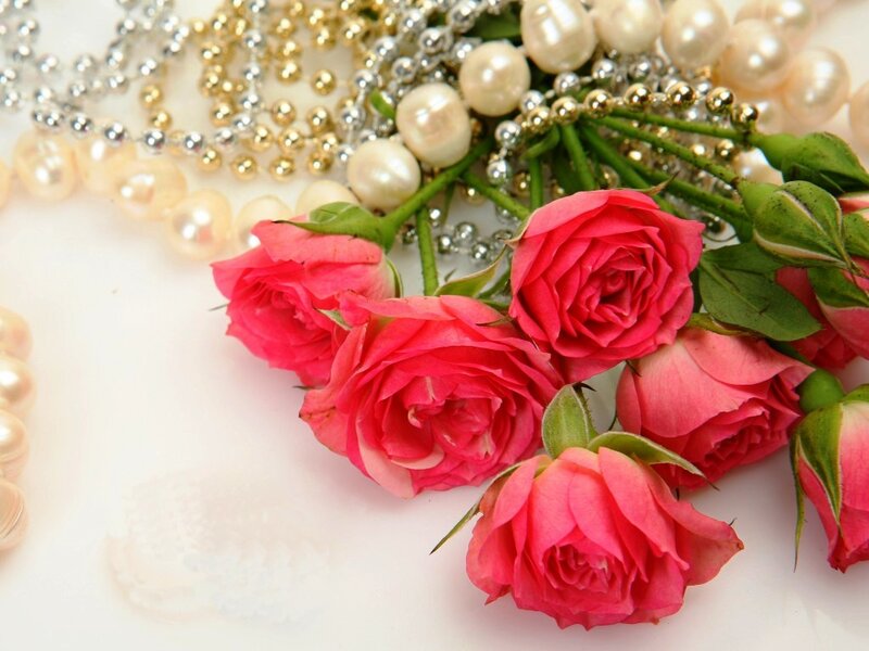 Pink Roses with Pearls — Elegant, Photograph