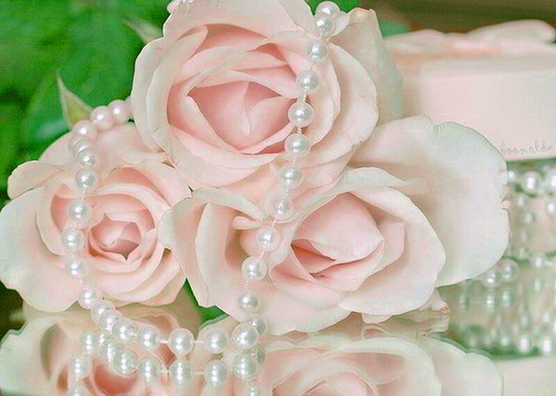 Pink Roses with Pearls — Elegant