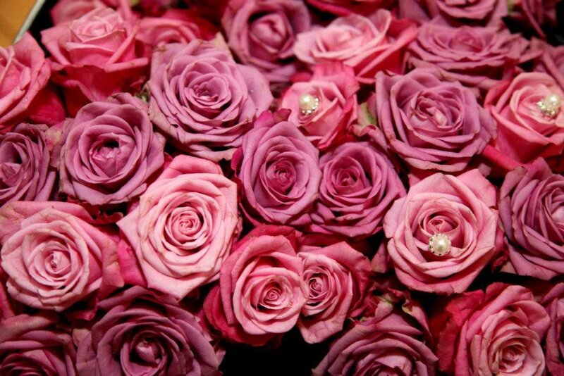 Pink Roses with Pearls — Romantic