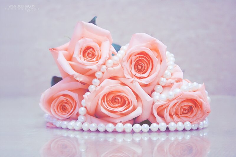 Pink Roses with Pearls — Serene, Photograph, Reflection