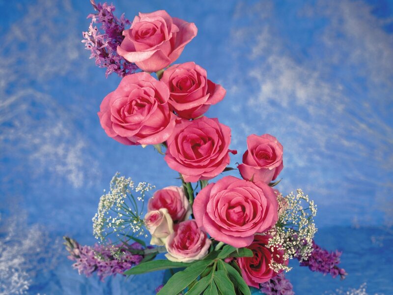 Pink roses with purple flowers