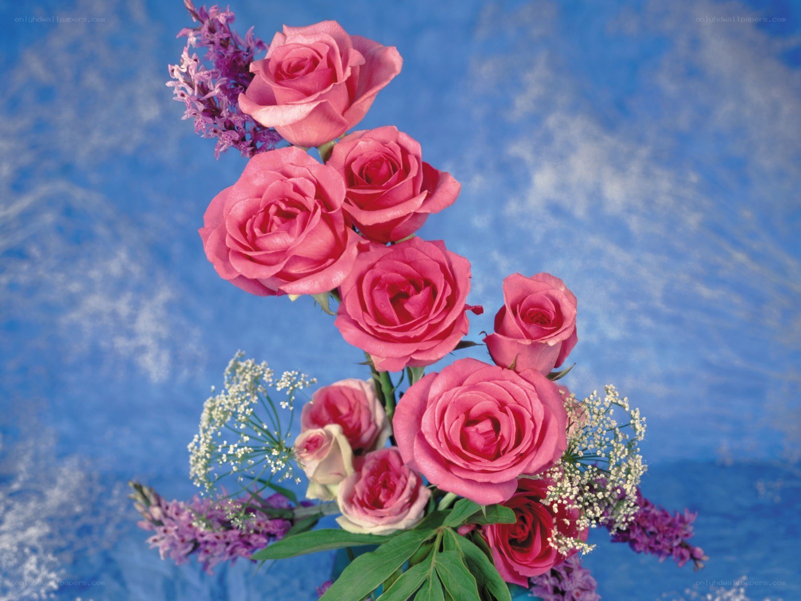 Pink roses with purple flowers