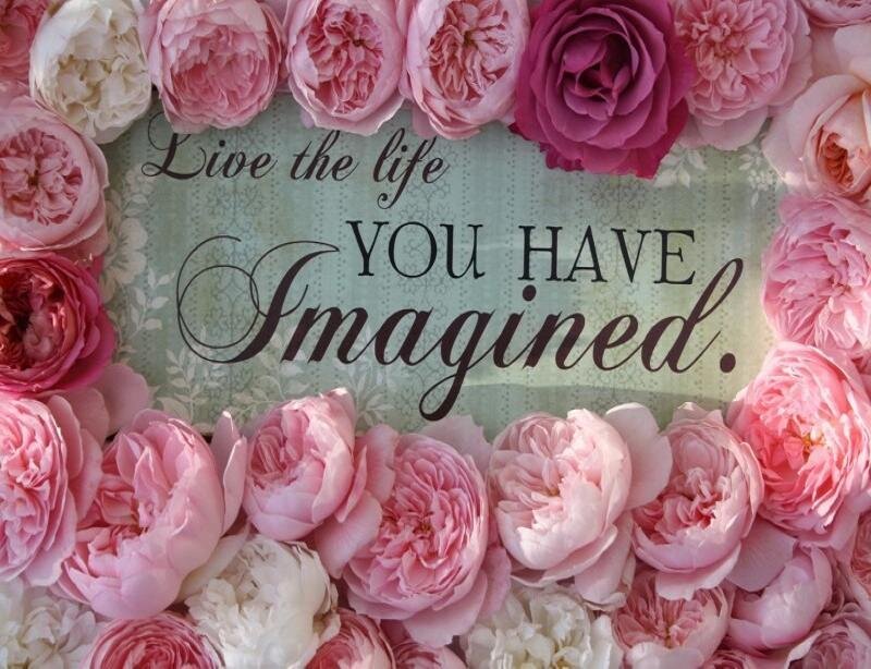 Pink Roses with Quote