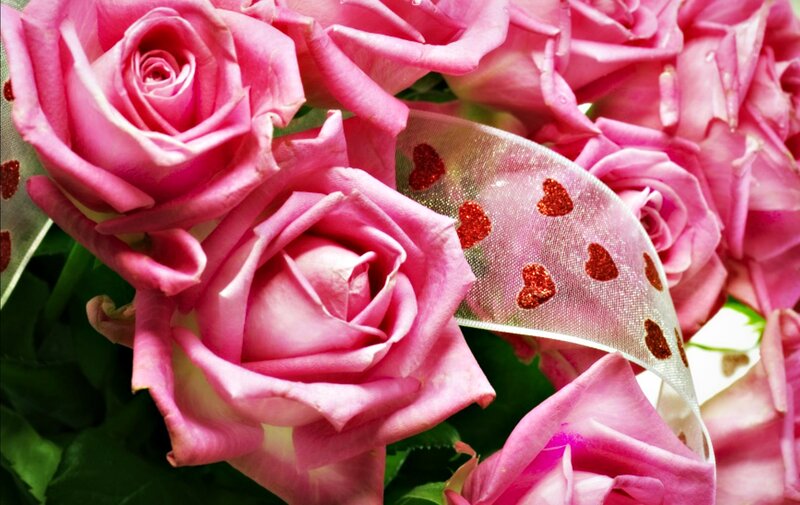 Pink Roses with Ribbon — Romantic, Photograph