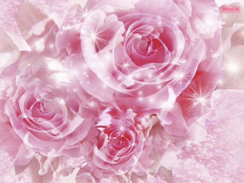 Pink roses with sparkles