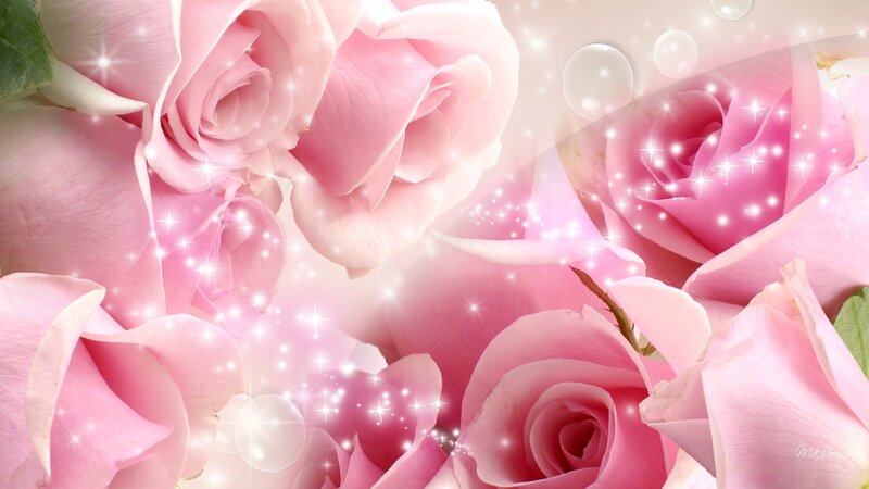 Pink Roses with Sparkles — Dreamy, Digital Art, Bubbles