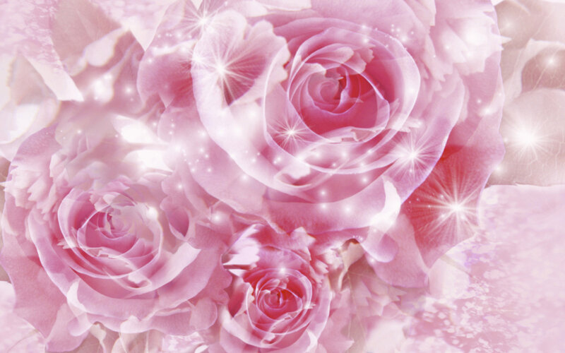 Pink Roses with Sparkles — Dreamy, Digital Art, Light Effects