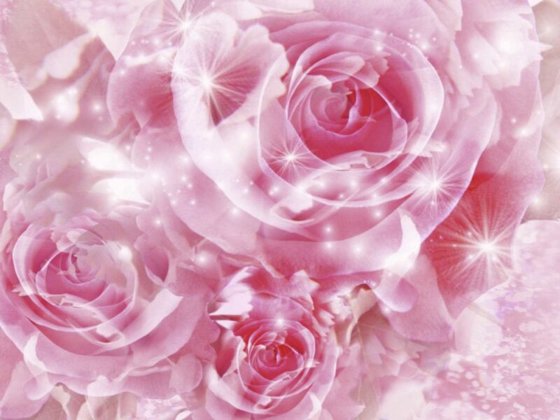 Pink Roses with Sparkles — Dreamy, Digital Art, Petals