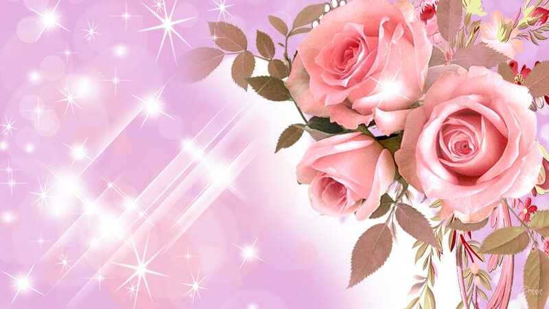Pink Roses with Sparkles — Dreamy