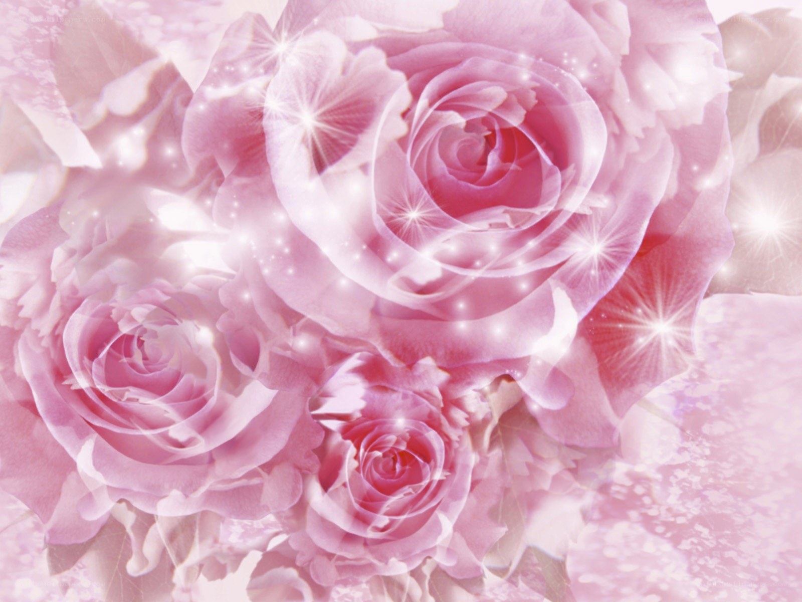 pink roses with sparkles