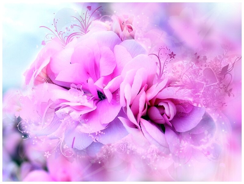 Pink Roses with Swirls