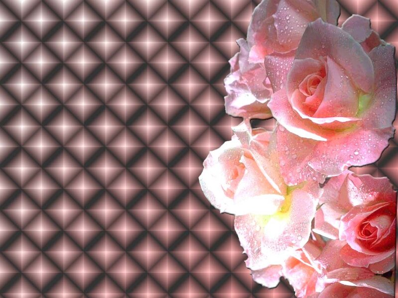 Pink Roses with Water Droplets — Serene, Digital Art