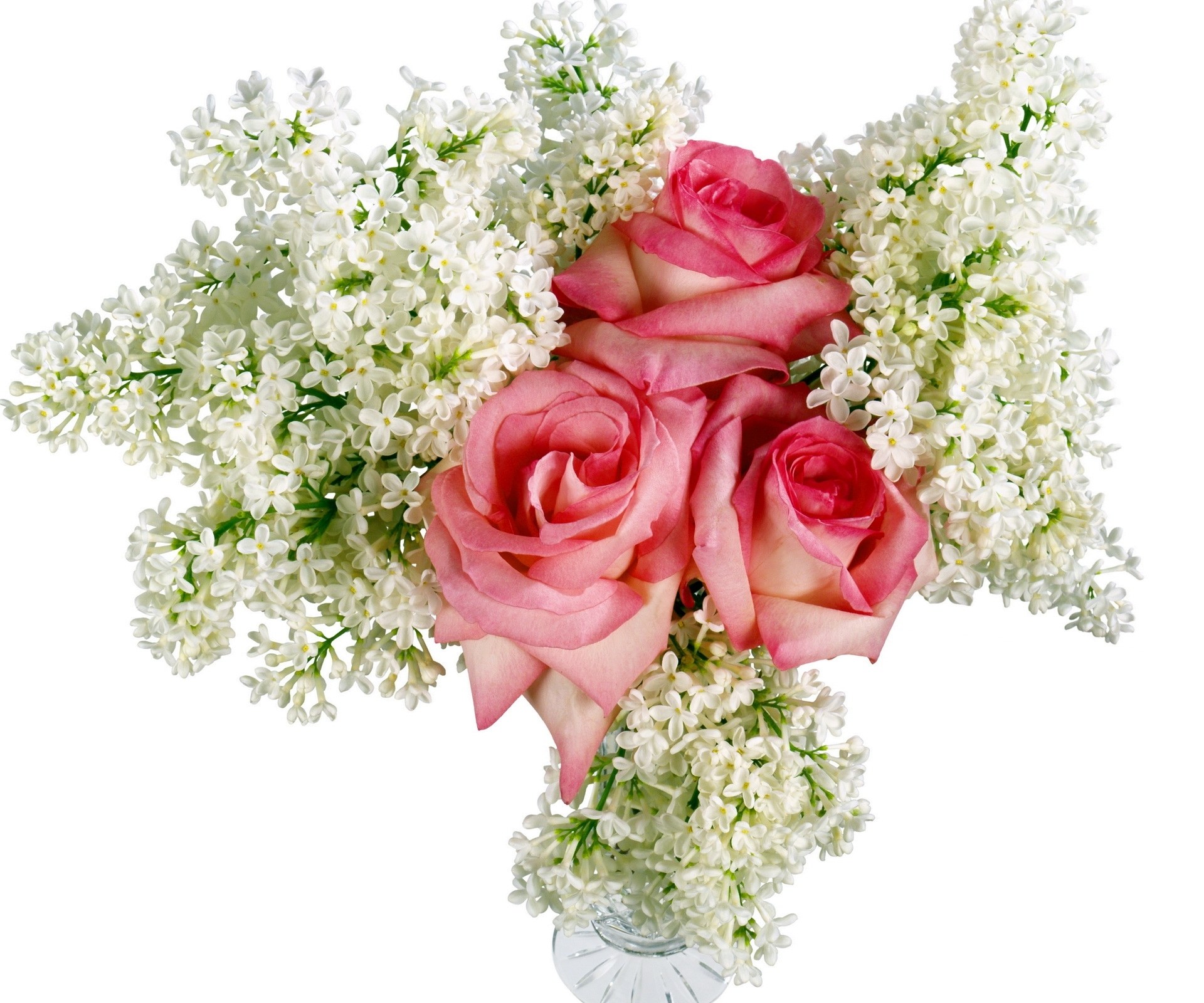 Pink roses with white lilacs