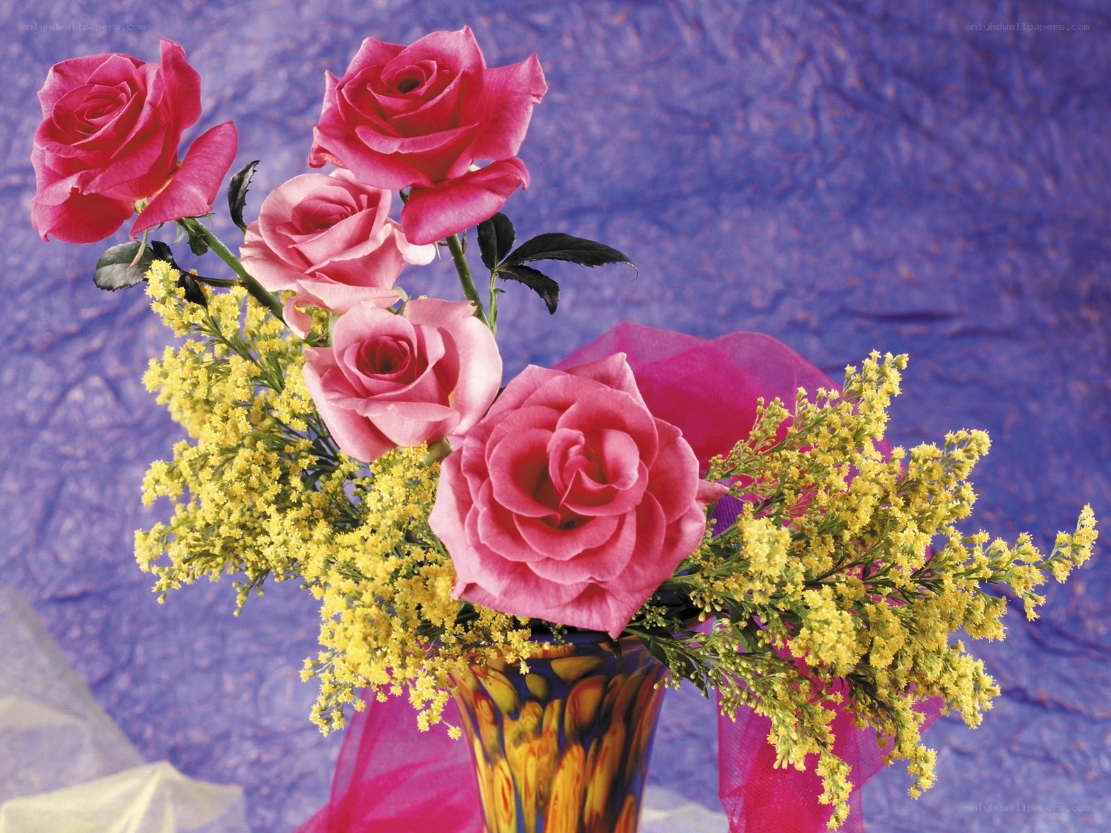 Pink roses with yellow flowers