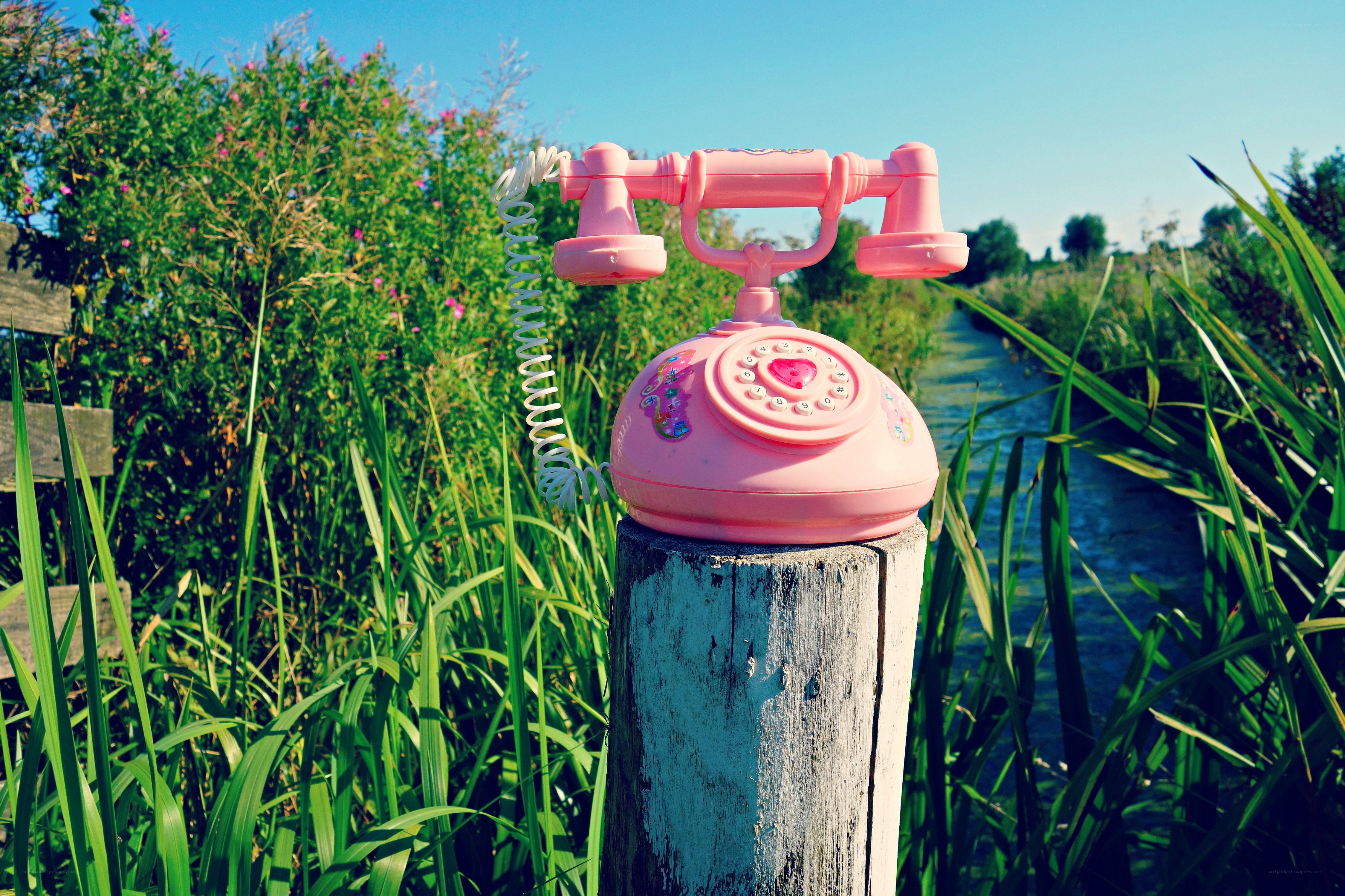 Pink rotary phone on a post
