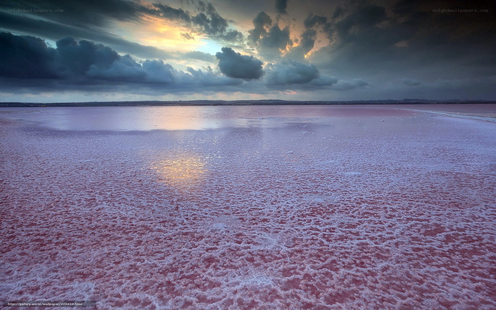 Pink salt lake at sunset