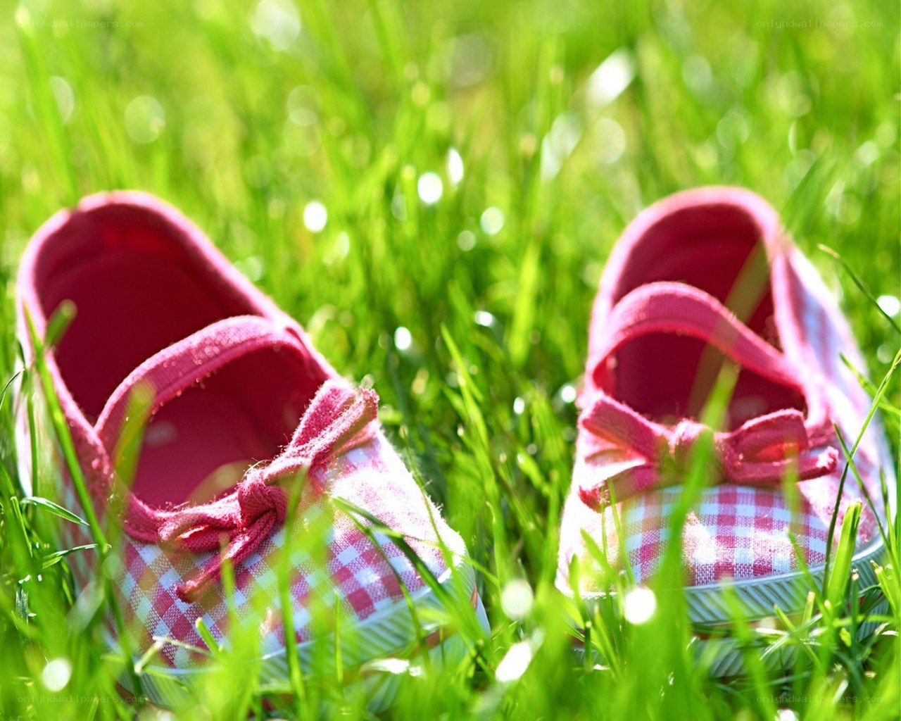 Pink shoes in green grass