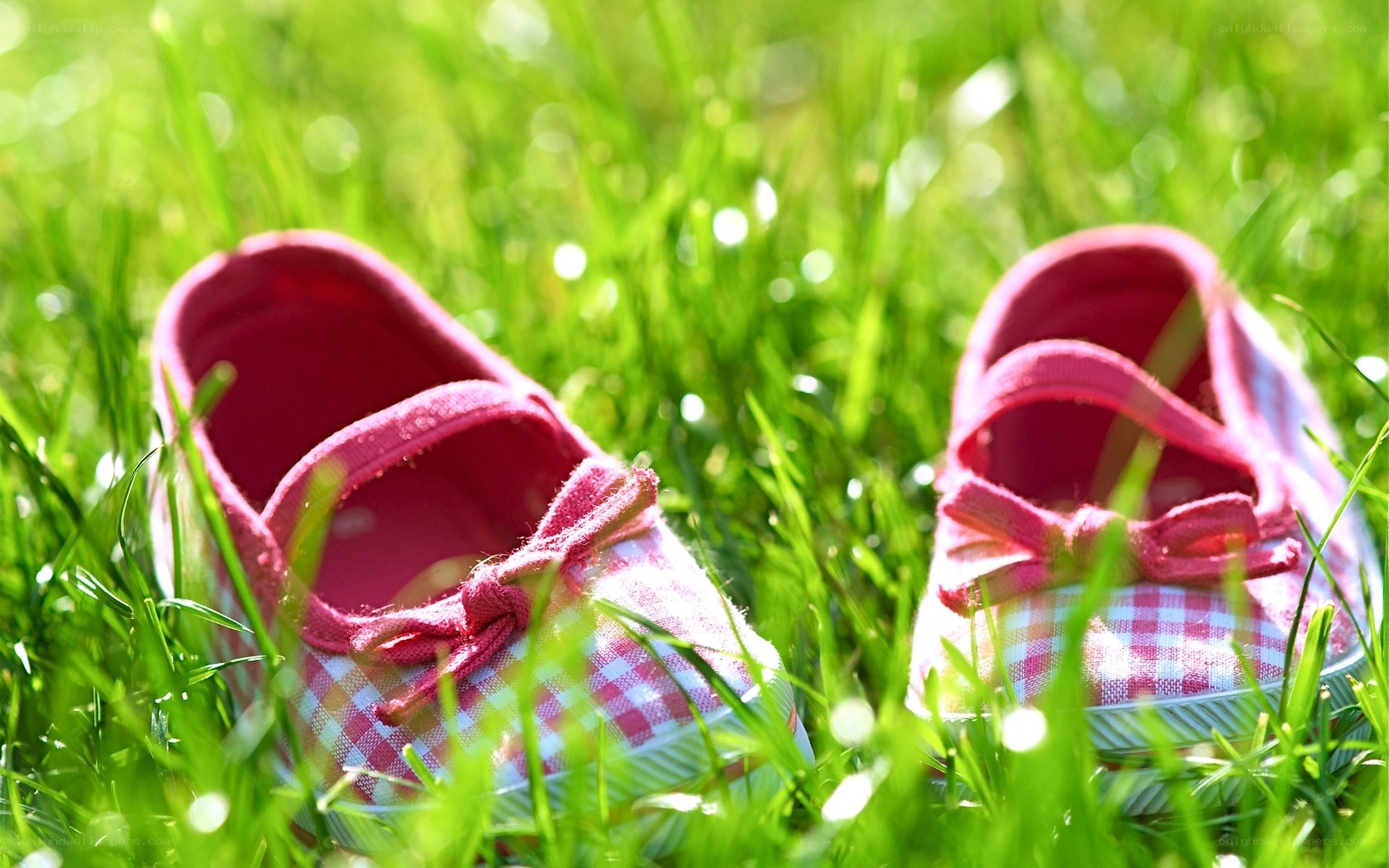 Pink shoes in green grass