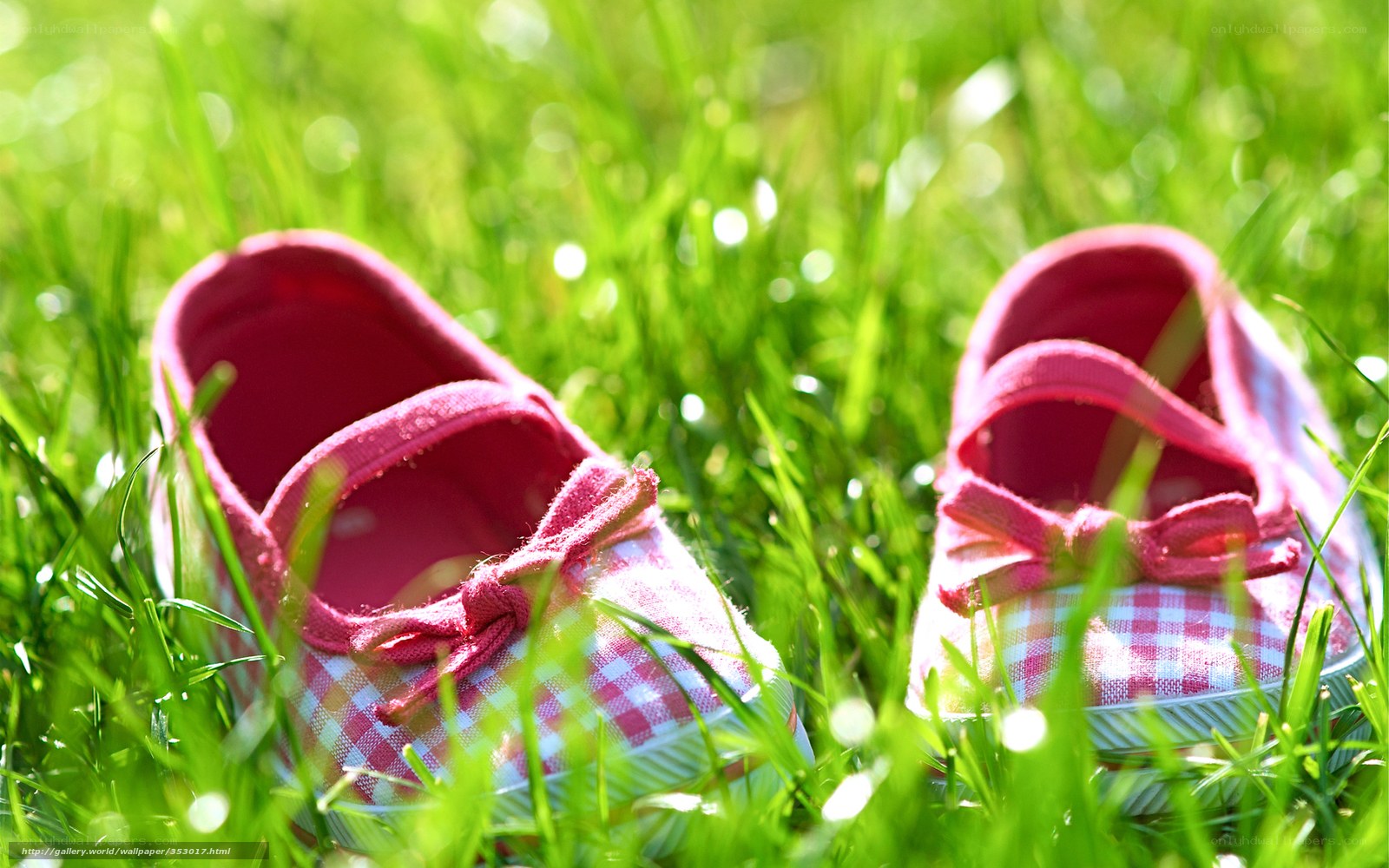 Pink shoes on green grass