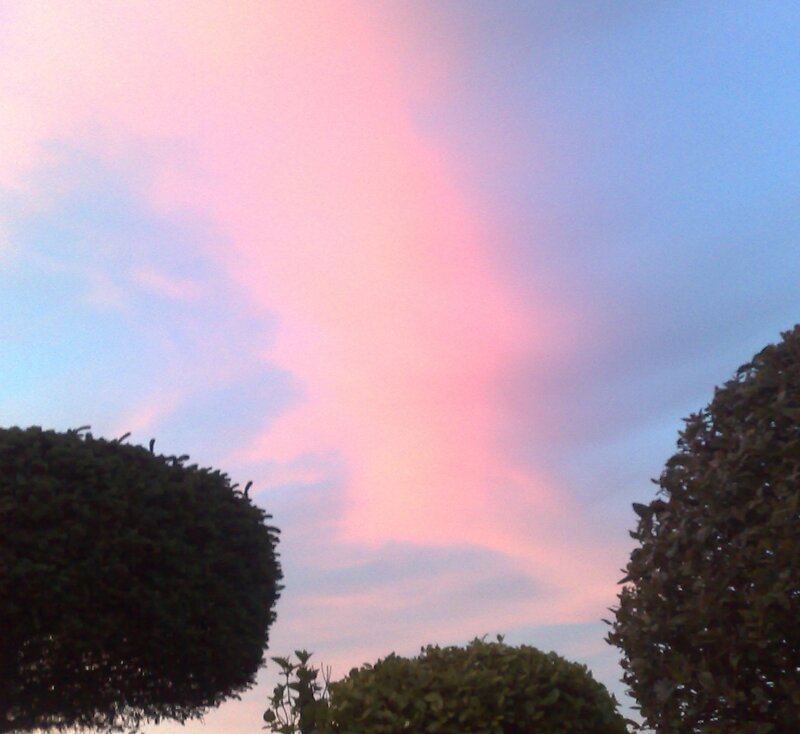 Pink sky at dusk