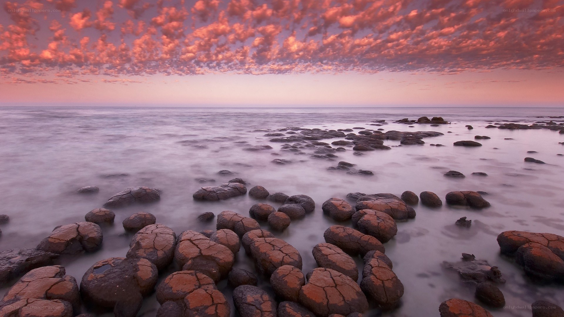 Pink sky over rocky shore